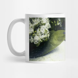 Green Moray Eel Mug